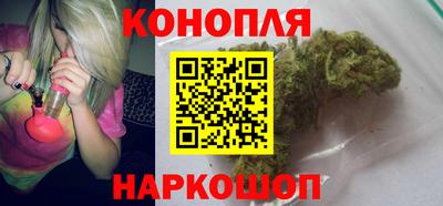 сатива Моздок