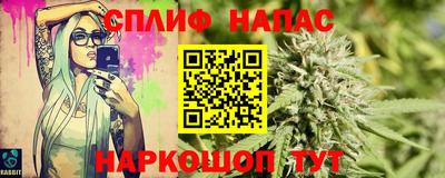 сатива Моздок