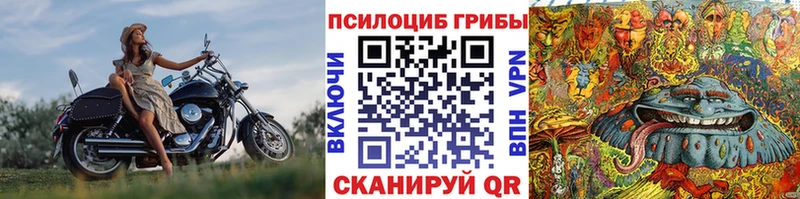 Псилоцибиновые грибы Cubensis  Керчь 