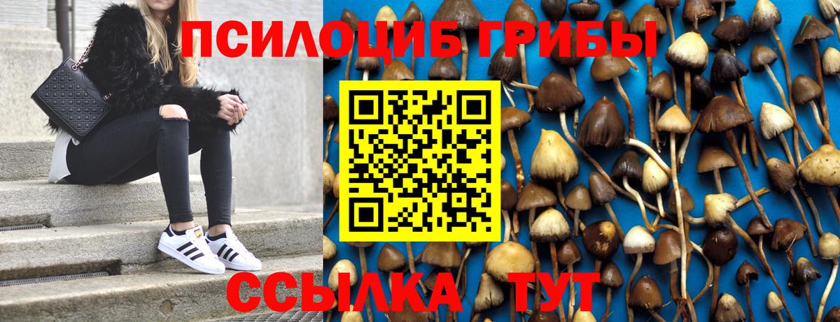 Псилоцибиновые грибы Psilocybe Керчь
